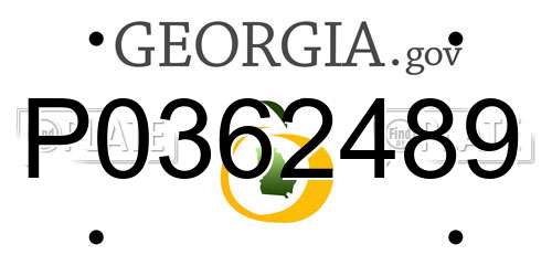P0362489 Georgia License Plate