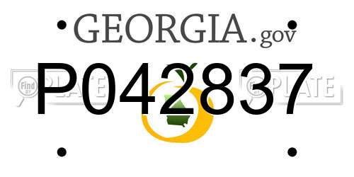 P042837 Georgia License Plate