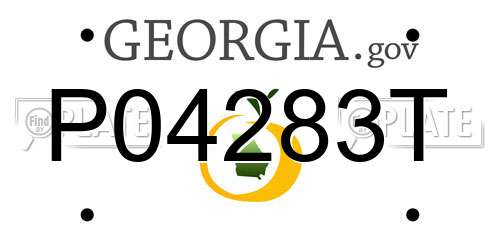 P04283T Georgia License Plate