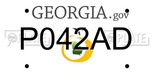 P042AD Georgia License Plate