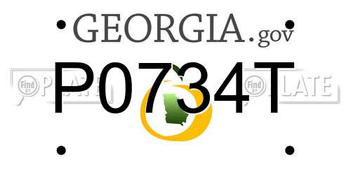 P0734T Georgia License Plate