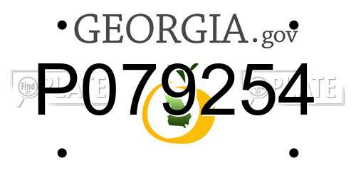 P079254 Georgia License Plate