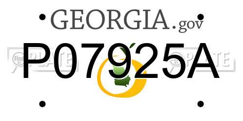P07925A Georgia License Plate