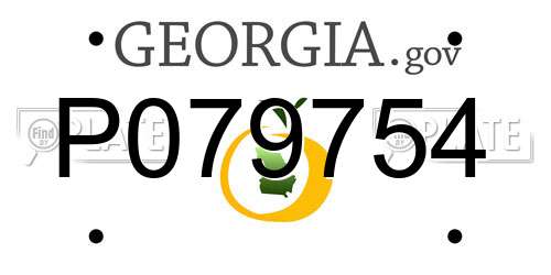 P079754 Georgia License Plate