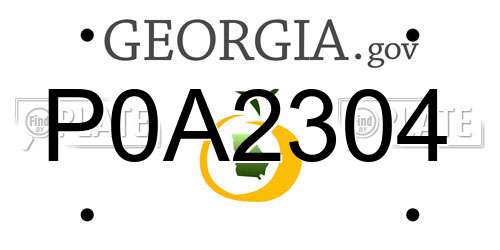 P0A2304 Georgia License Plate