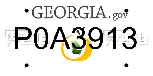 P0A3913 Georgia License Plate
