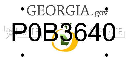 P0B3640 Georgia License Plate