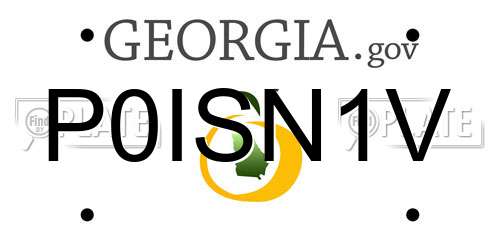 P0ISN1V Georgia License Plate