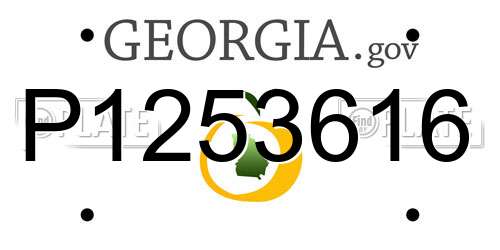 P1253616 Georgia License Plate