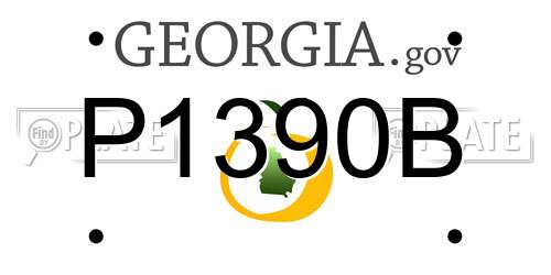 P1390B Georgia License Plate