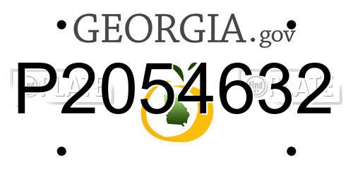 P2054632 Georgia License Plate