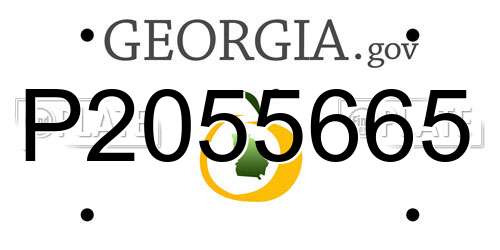 P2055665 Georgia License Plate