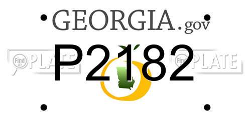 P2182 Georgia License Plate