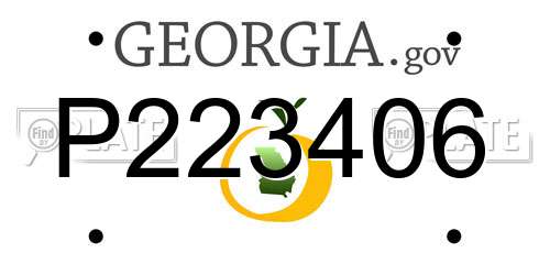 P223406 Georgia License Plate