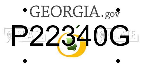 P22340G Georgia License Plate