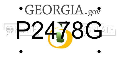 P2478G Georgia License Plate