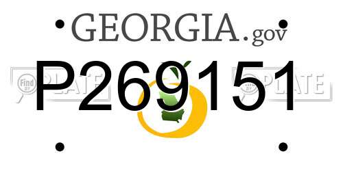 P269151 Georgia License Plate