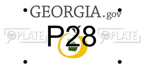 P28 Georgia License Plate