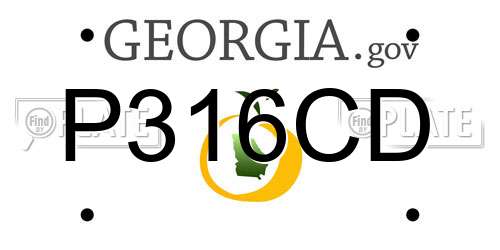 P316CD Georgia License Plate