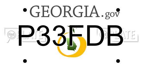 P33FDB Georgia License Plate