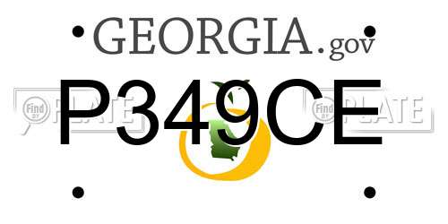 P349CE Georgia License Plate