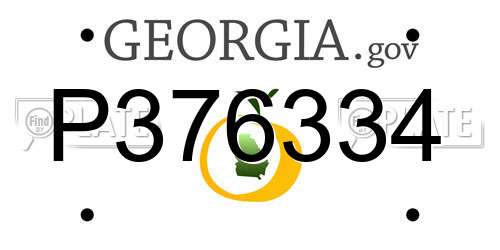P376334 Georgia License Plate