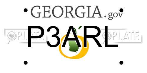P3ARL Georgia License Plate
