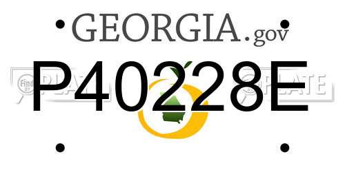 P40228E Georgia License Plate