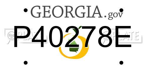 P40278E Georgia License Plate