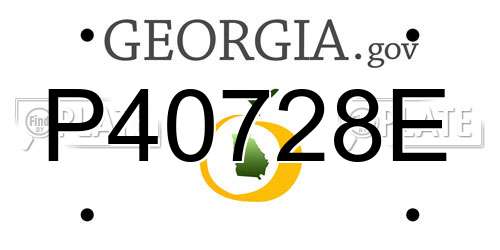 P40728E Georgia License Plate