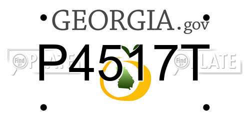 P4517T Georgia License Plate