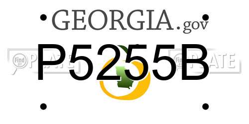 P5255B Georgia License Plate