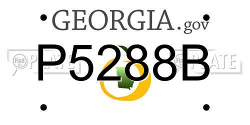 P5288B Georgia License Plate