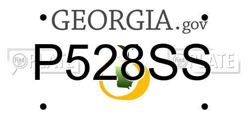 P528SS Georgia License Plate