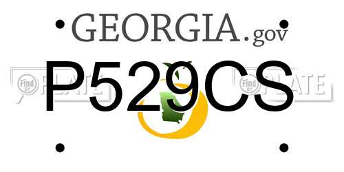 P529CS Georgia License Plate