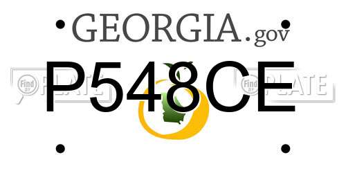 P548CE Georgia License Plate