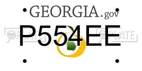 P554EE Georgia License Plate