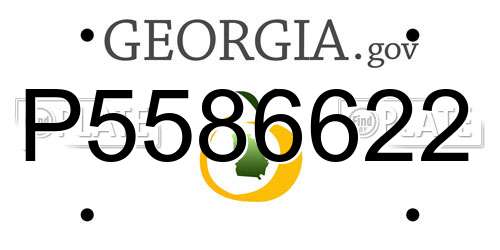 P5586622 Georgia License Plate