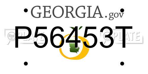 P56453T Georgia License Plate
