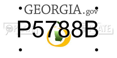 P5788B Georgia License Plate
