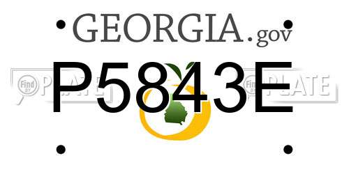 P5843E Georgia License Plate