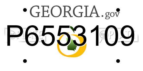 P6553109 Georgia License Plate