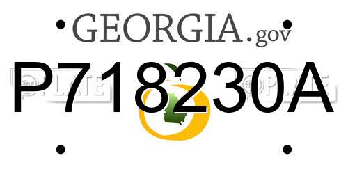 P718230A Georgia License Plate