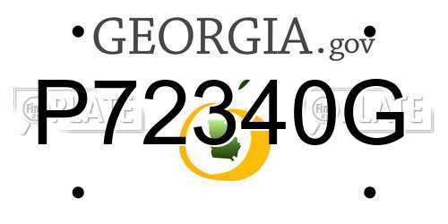 P72340G Georgia License Plate