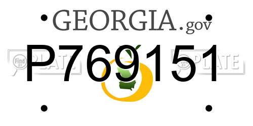 P769151 Georgia License Plate
