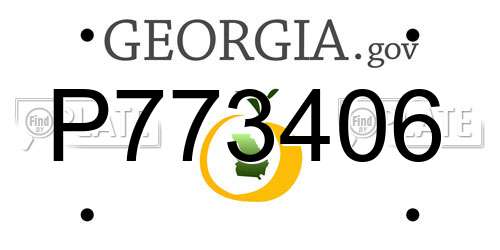 P773406 Georgia License Plate