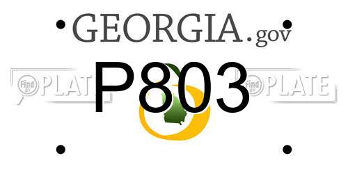 P803 Georgia License Plate