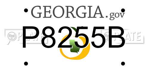 P8255B Georgia License Plate