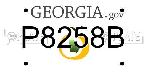 P8258B Georgia License Plate