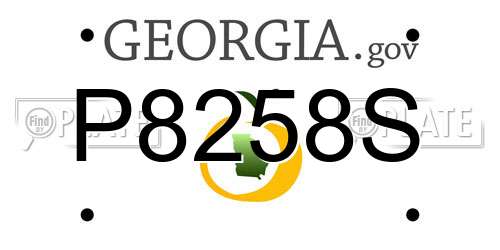 P8258S Georgia License Plate